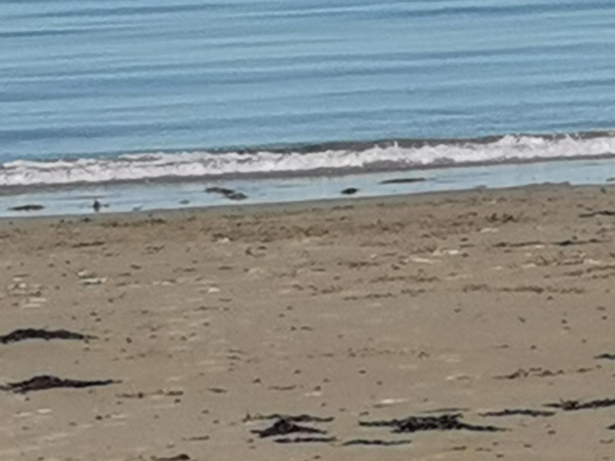 Snowdonia Sunbeach Holiday Sea And Mountain View Llwyngwril Zewnętrze zdjęcie